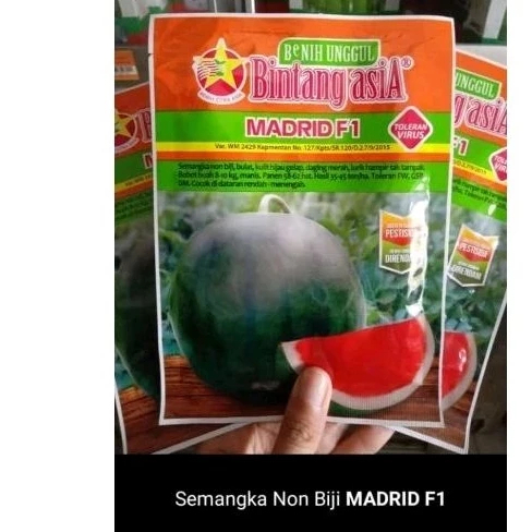 MADRID F1 Bibit Semangka Non Biji/Benih Semangka Non Biji Kemasan 20gr