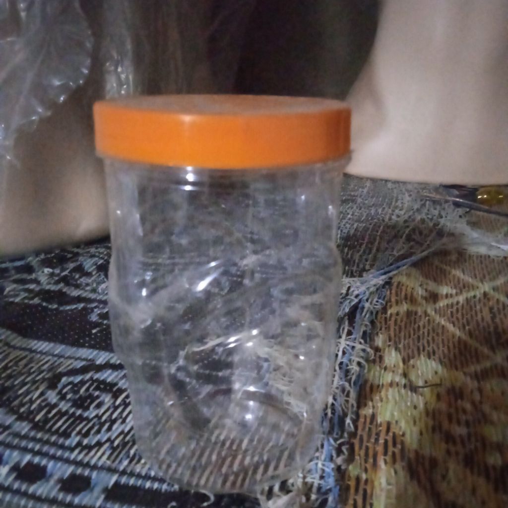 Toples bekas sosis