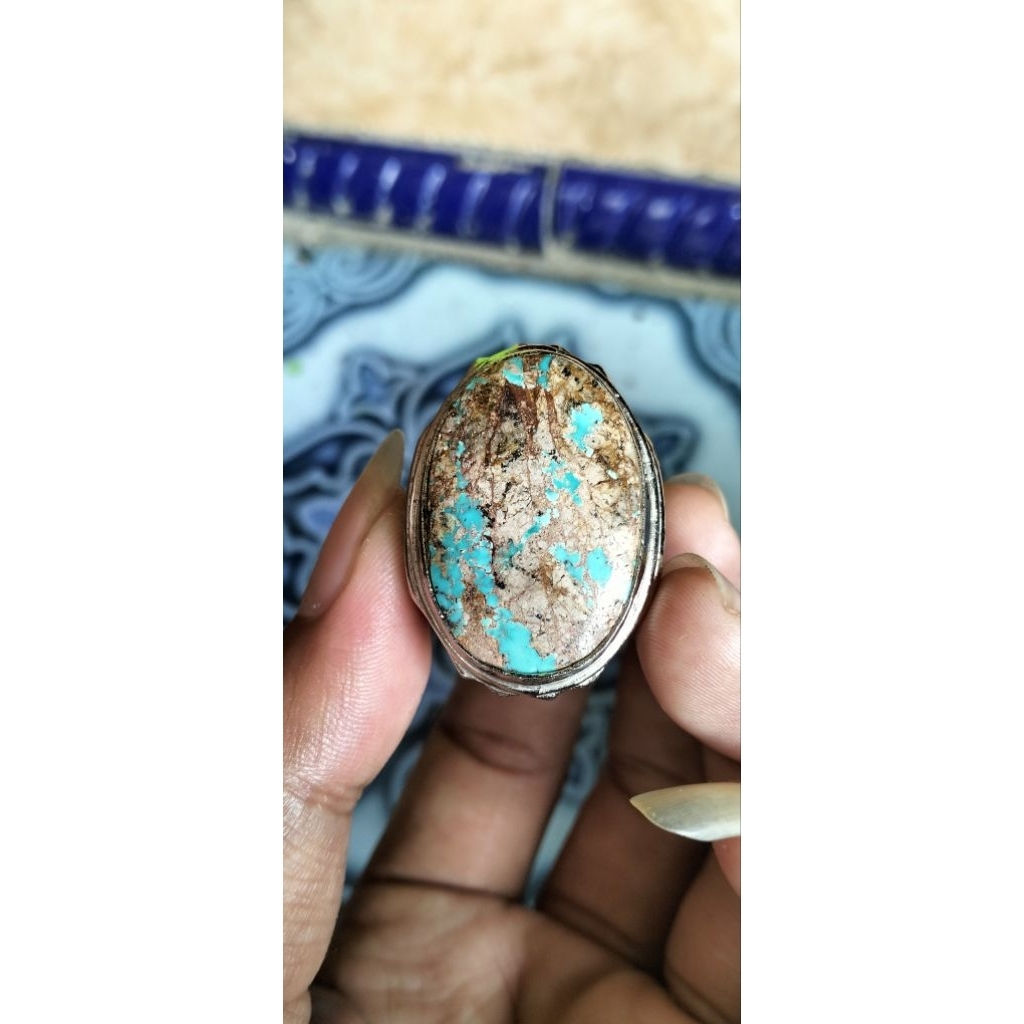 pirus persia lawasan