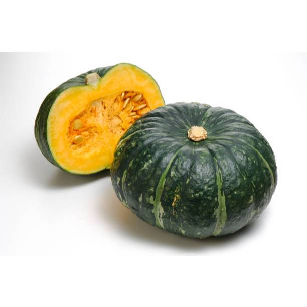 HASIL UNGGUL BENIH LABU KABOCHA