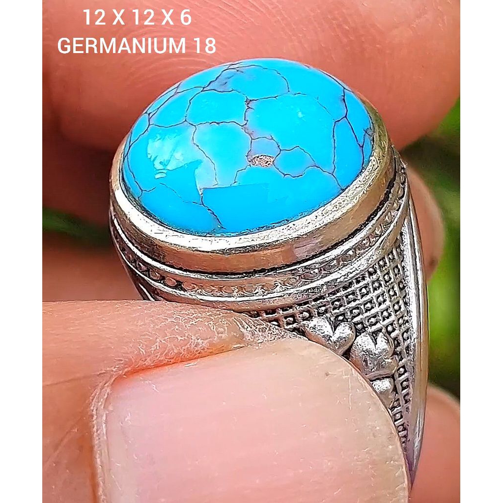 pirus mesir lawasan 6g