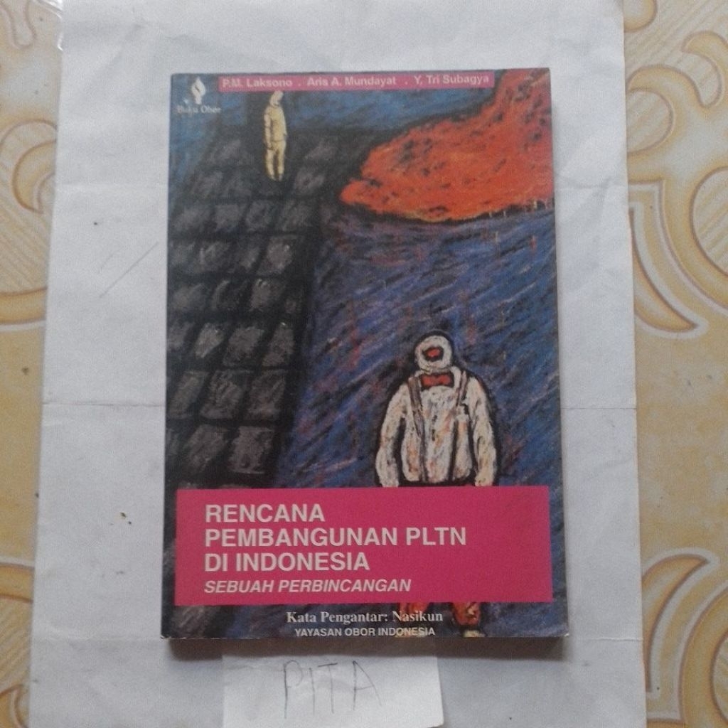 rencana pembangunan pltn di Indonesia