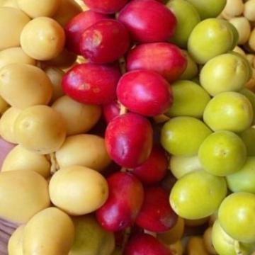 KURMA MUDA RUTHOB BARHEE 1kg PREMIUM, 500gr dan 250gr