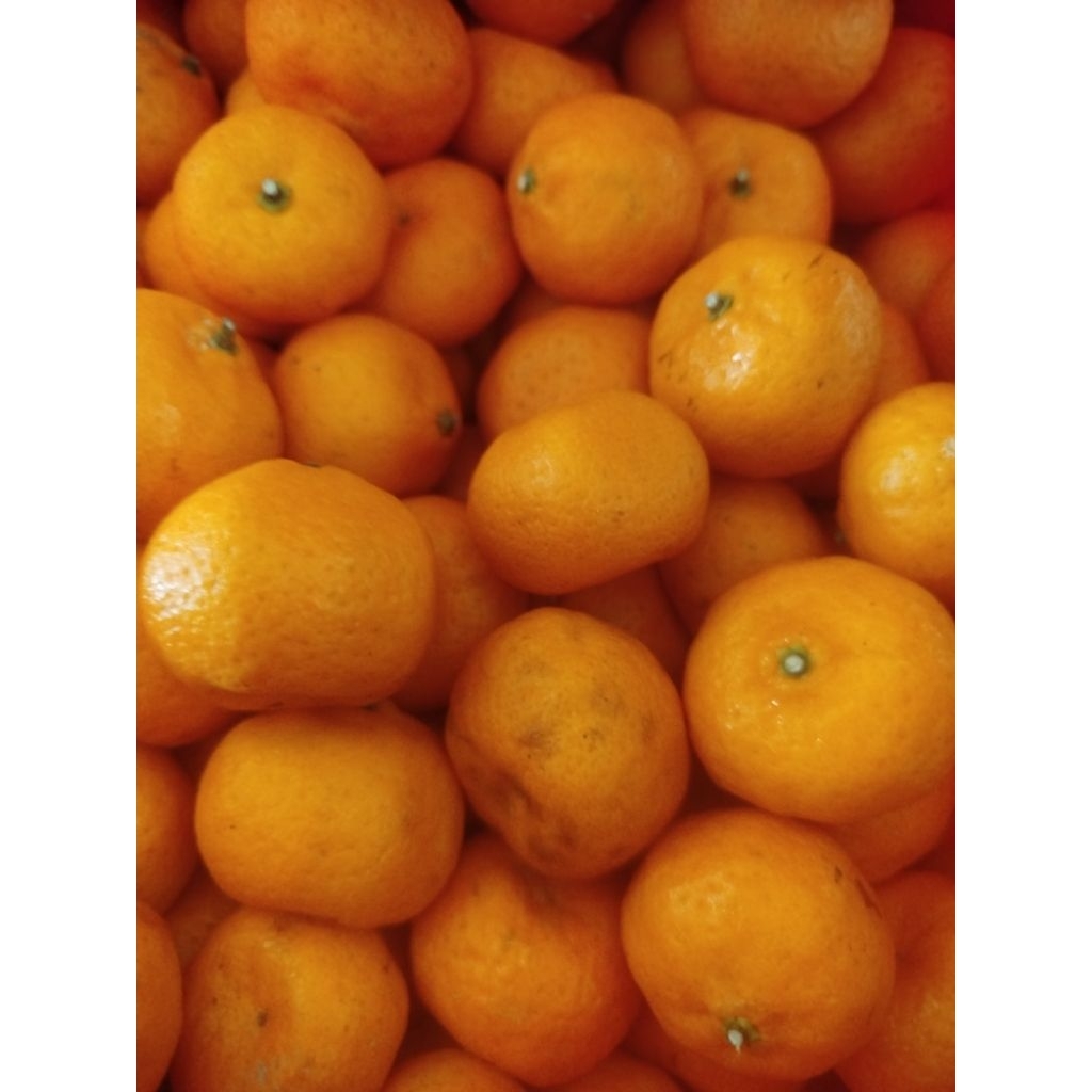 Jeruk Santang Madu 1kg