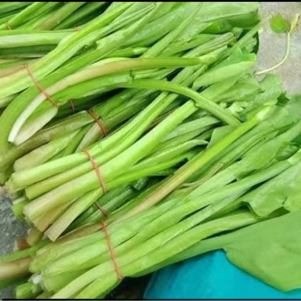 Genjer/sayur genjer segar fress