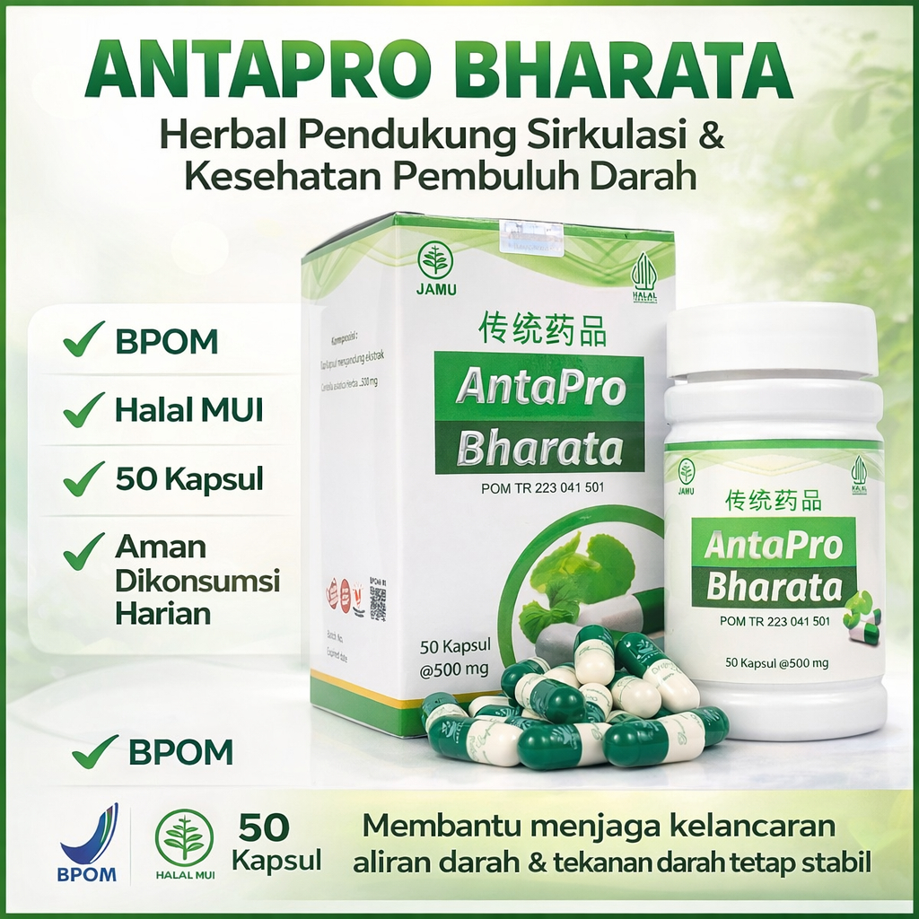 Obat Saraf Kejepit Herbal BPOM – Antapro Bharata | Bantu Atasi Kebas, Kesemutan & Saraf Lemah