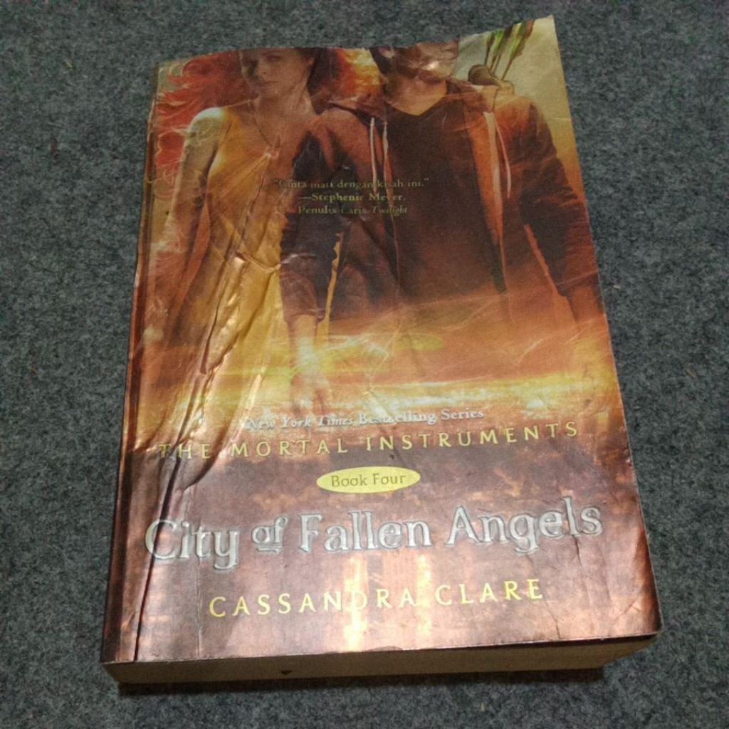 CITY OF FALLEN ANGELS CASSANDRA CLARE