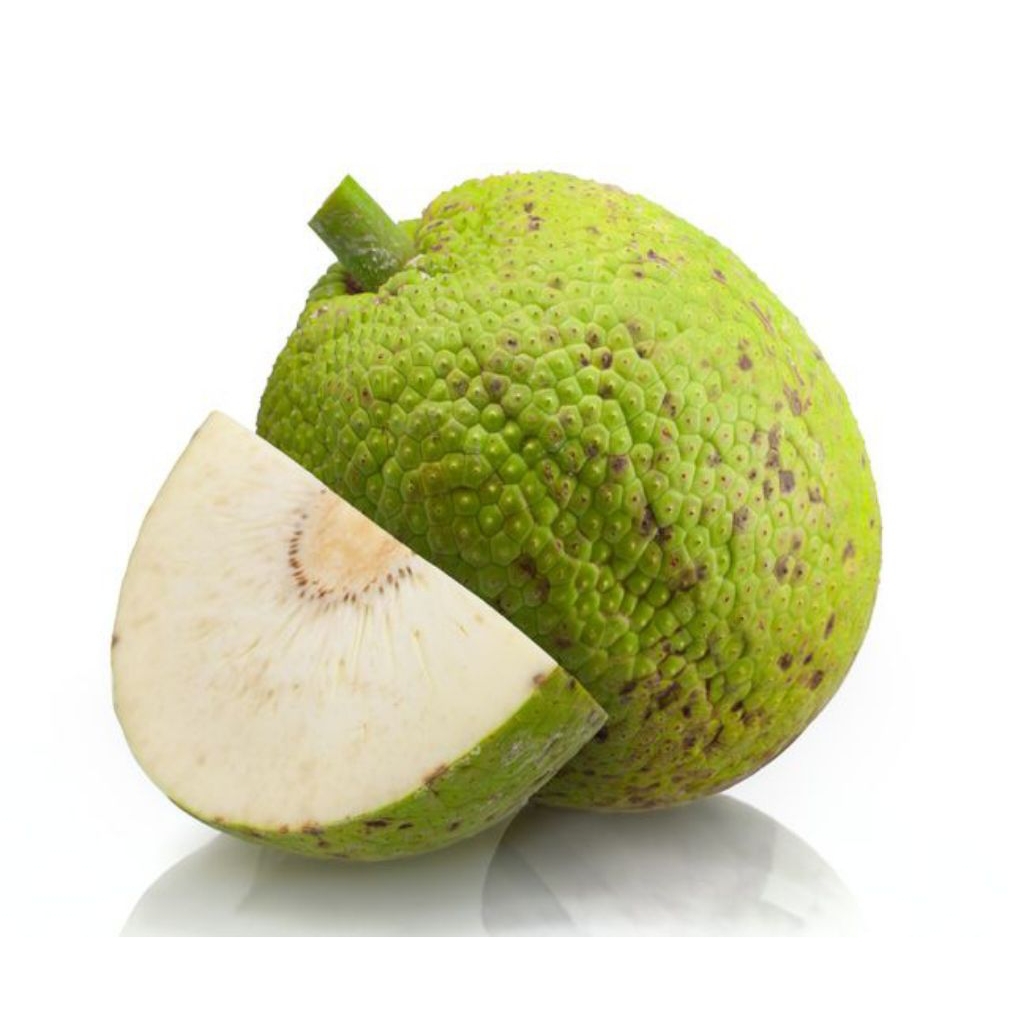 Sukun Mentega Super Besar 1,3kg - 1,7Siap Goreng, Segar, Tidak Lembek