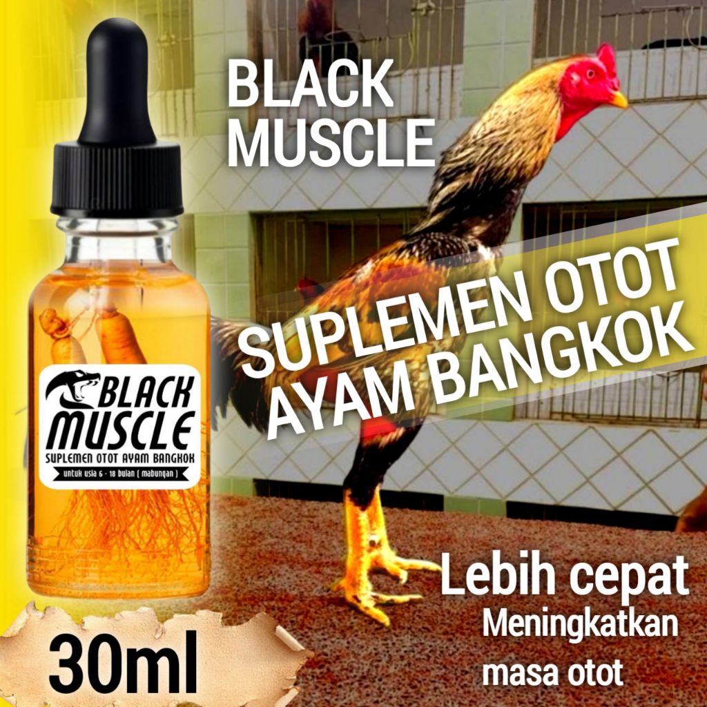 Vitamin pembentukan otot ayam Bangkok