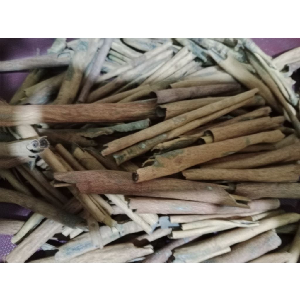 Kayu manis Kulit manis utuh