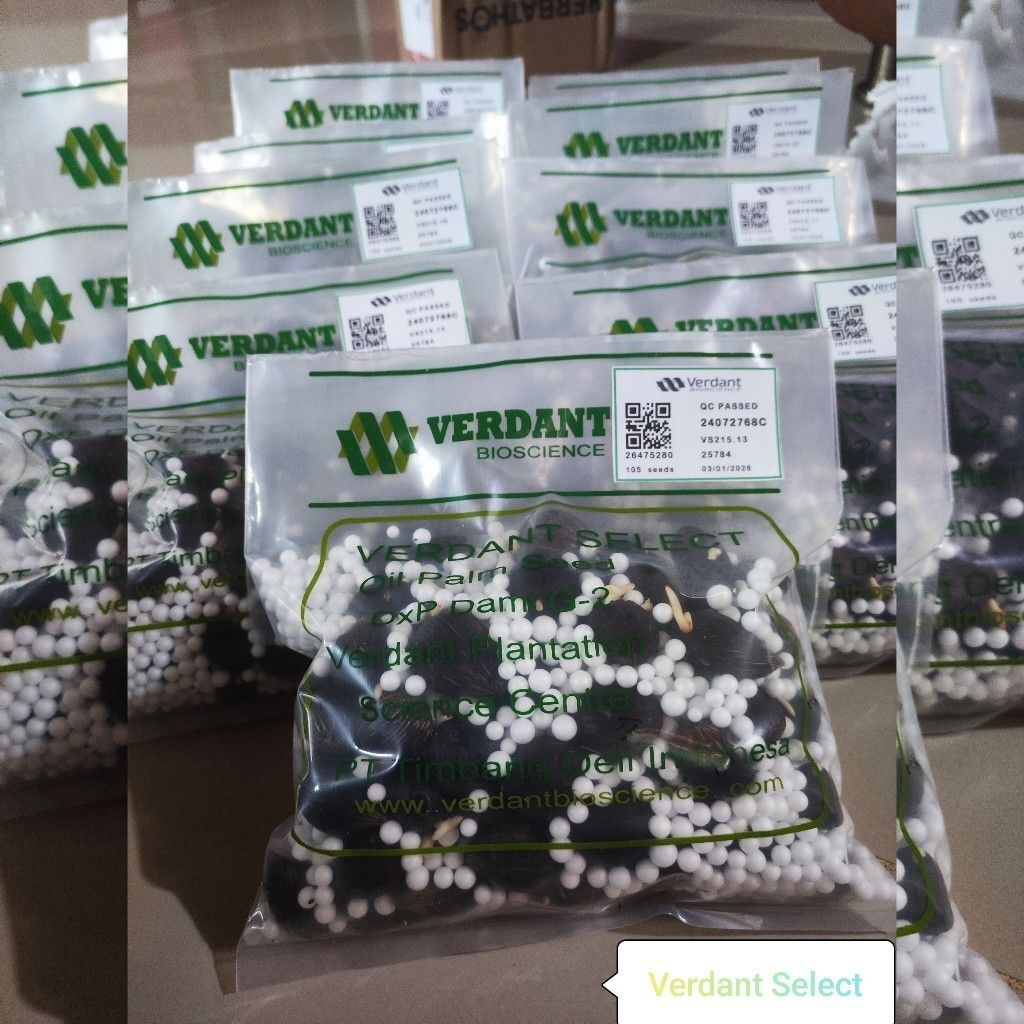 Bibit benih kelapa sawit Verdant Unggul