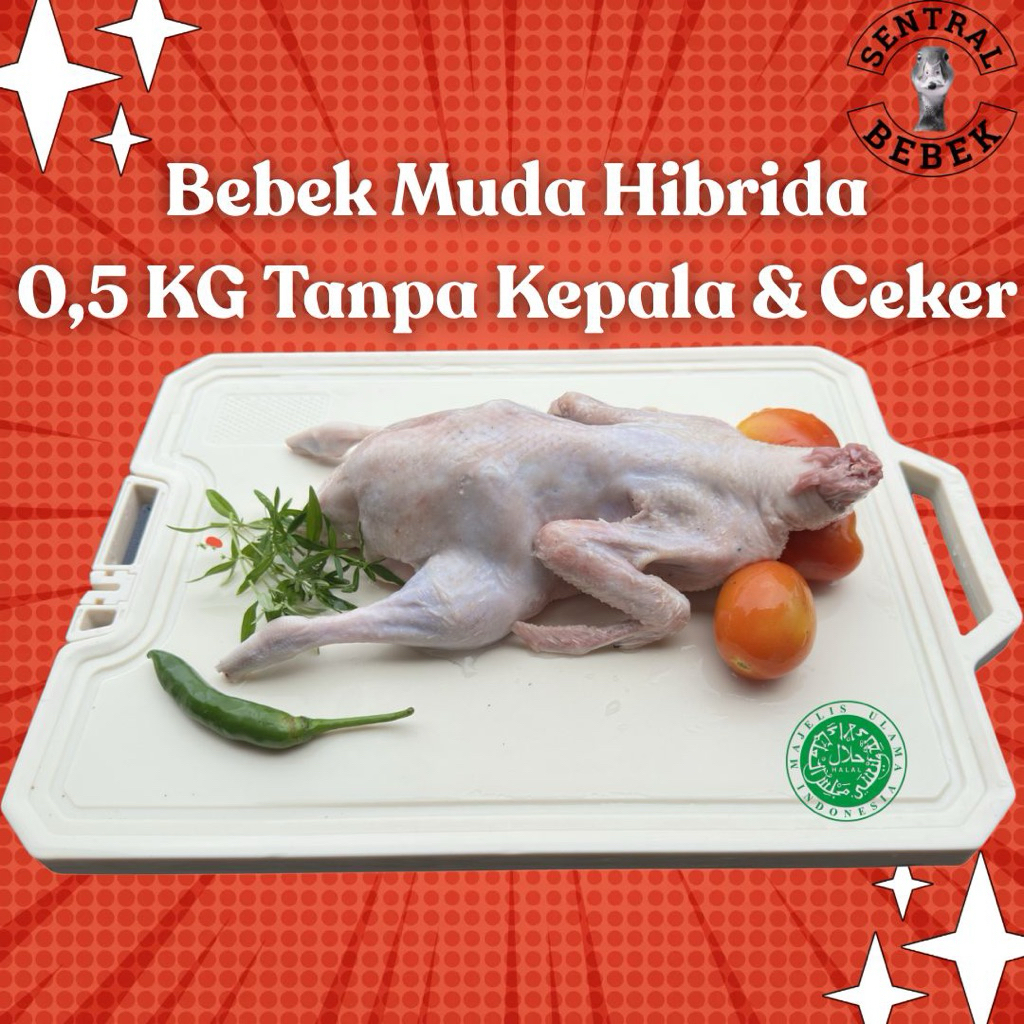 Daging Bebek / Bebek Hibrida 0.5 KG Utuh Atau Potong