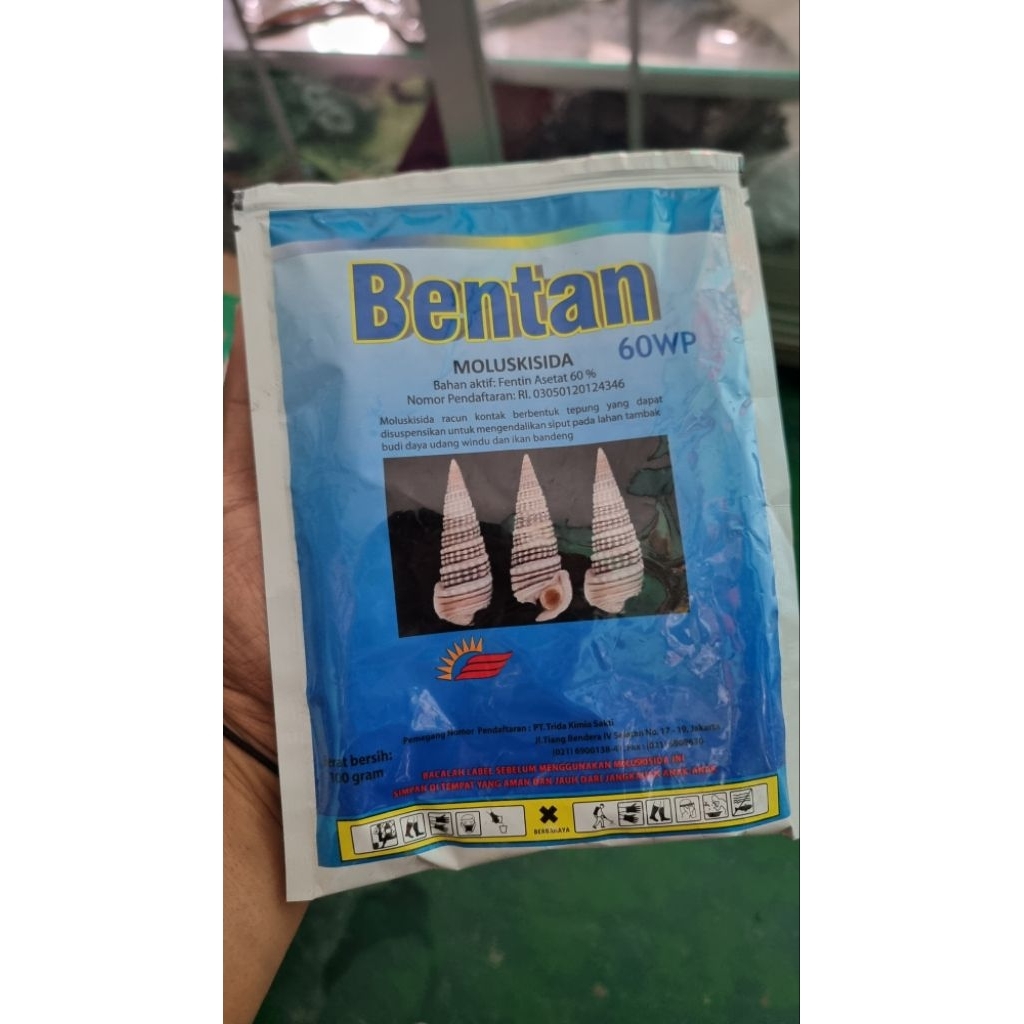 BENTAN 60WP racun keong 100GR