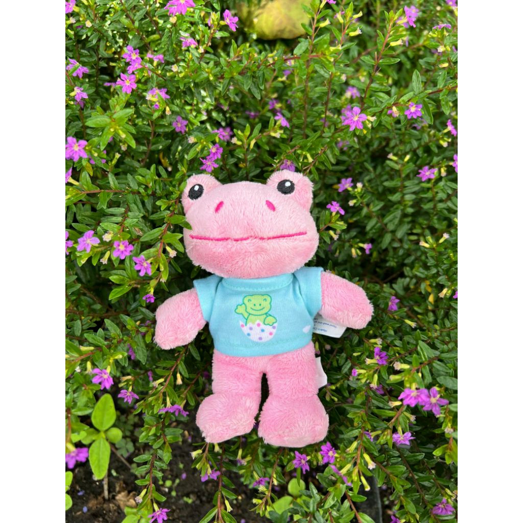 Keychain pink frog build a bear (BAB) gantungan kunci kodok katak hijau kostum shinada