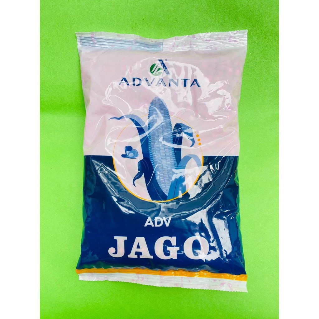 Benih Jagung Advanta Jago 1KG - Cap Benih Advanta (Jagung Jago).
