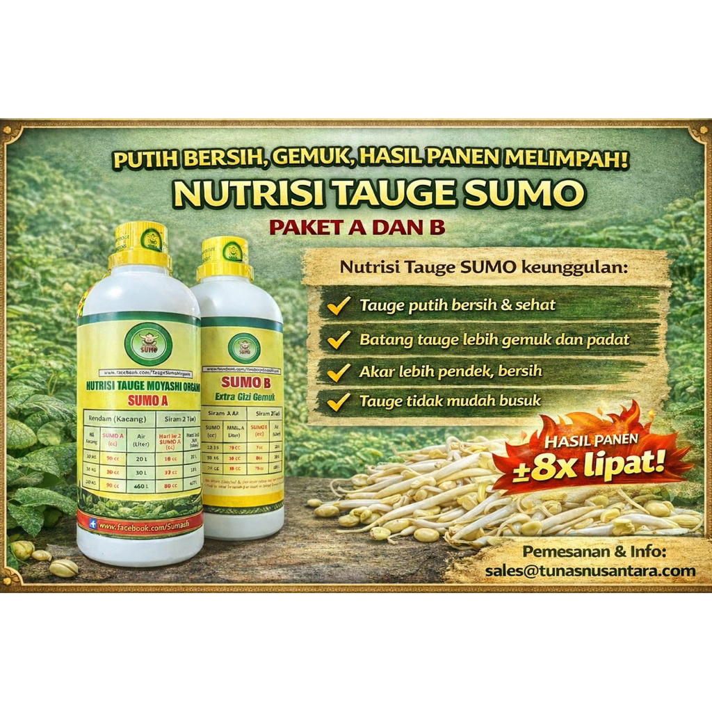 NUTRISI TAUGE SUMO - PAKET