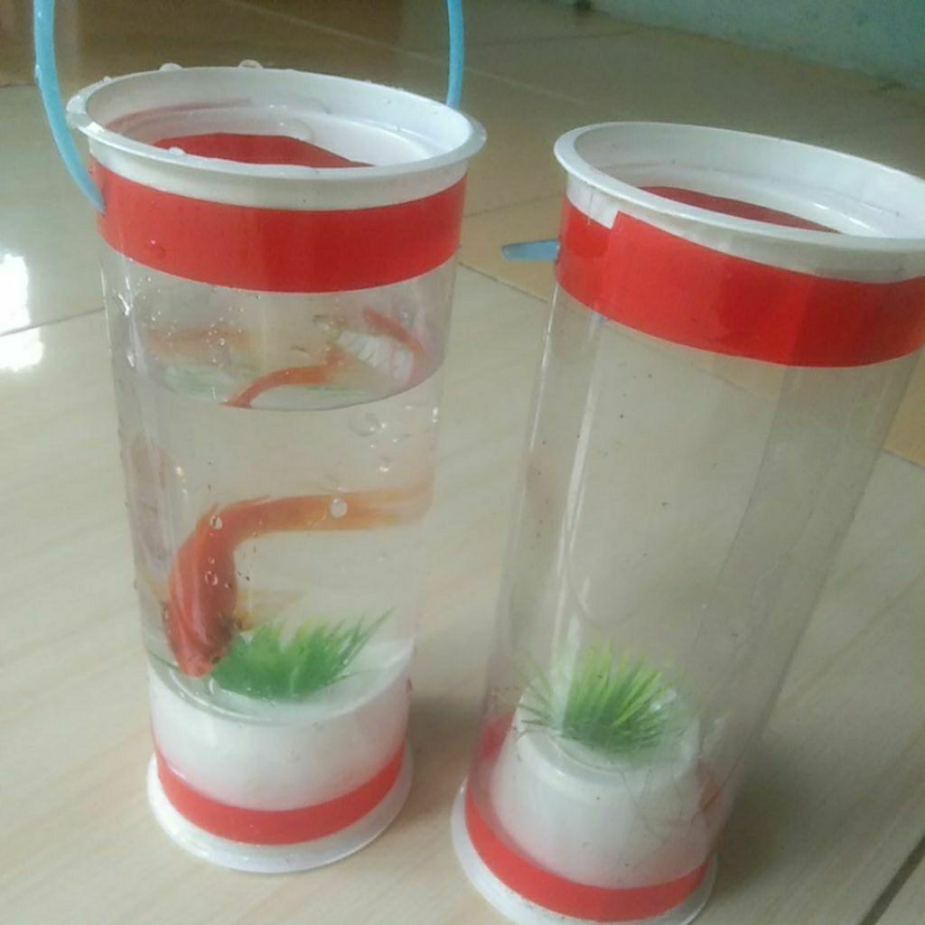 akuarium mini