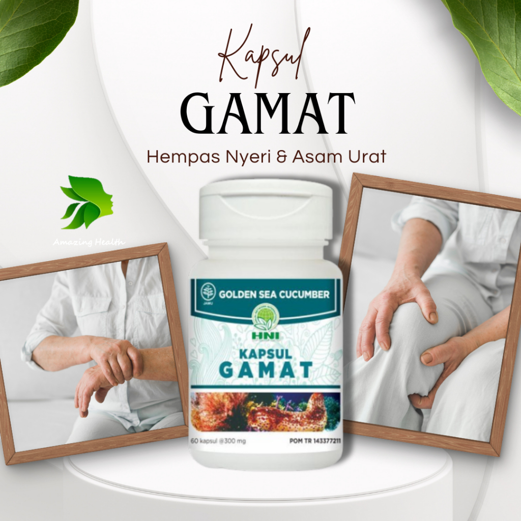 Kapsul Gamat HNI Meredakan Nyeri Sendi - HNI HPAI ORIGINAL