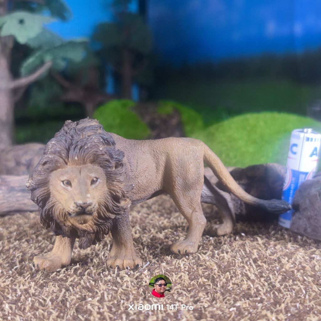 collecta 2010 African lion figure