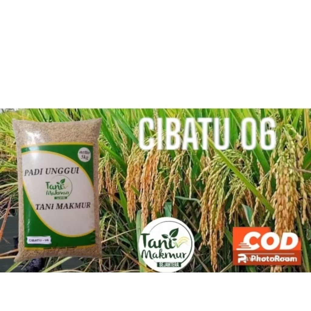 benih padi Cibatu 06 5kg
