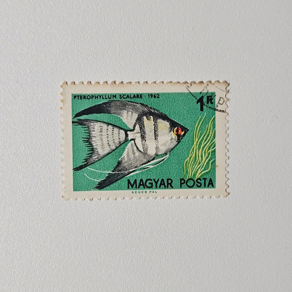 Perangko Fauna Ikan Hias: Angelfish Magyar Posta (Perangko Klasik 1962)