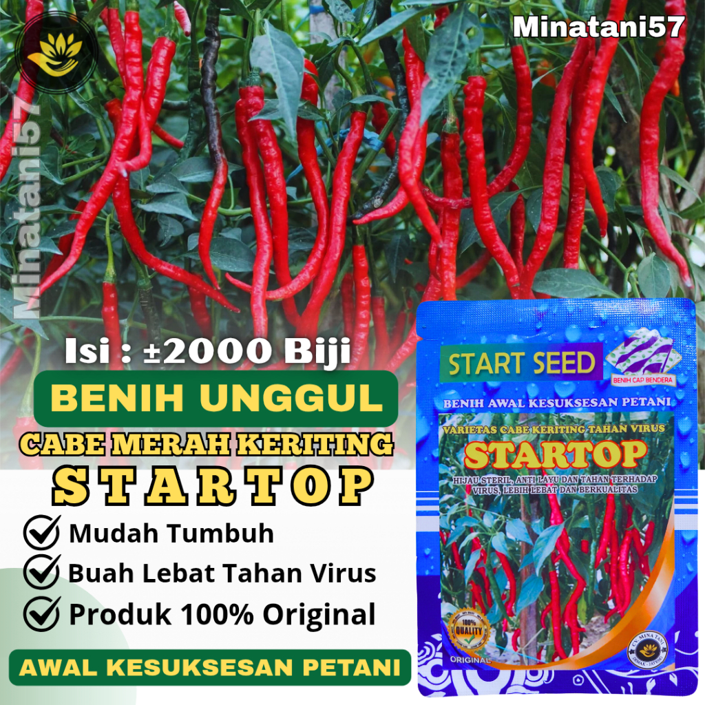Benih Cabe Merah Keriting STARTOP /Bibit Cabai Keriting Mudah Tumbuh Buah Lebat Tahan Virus