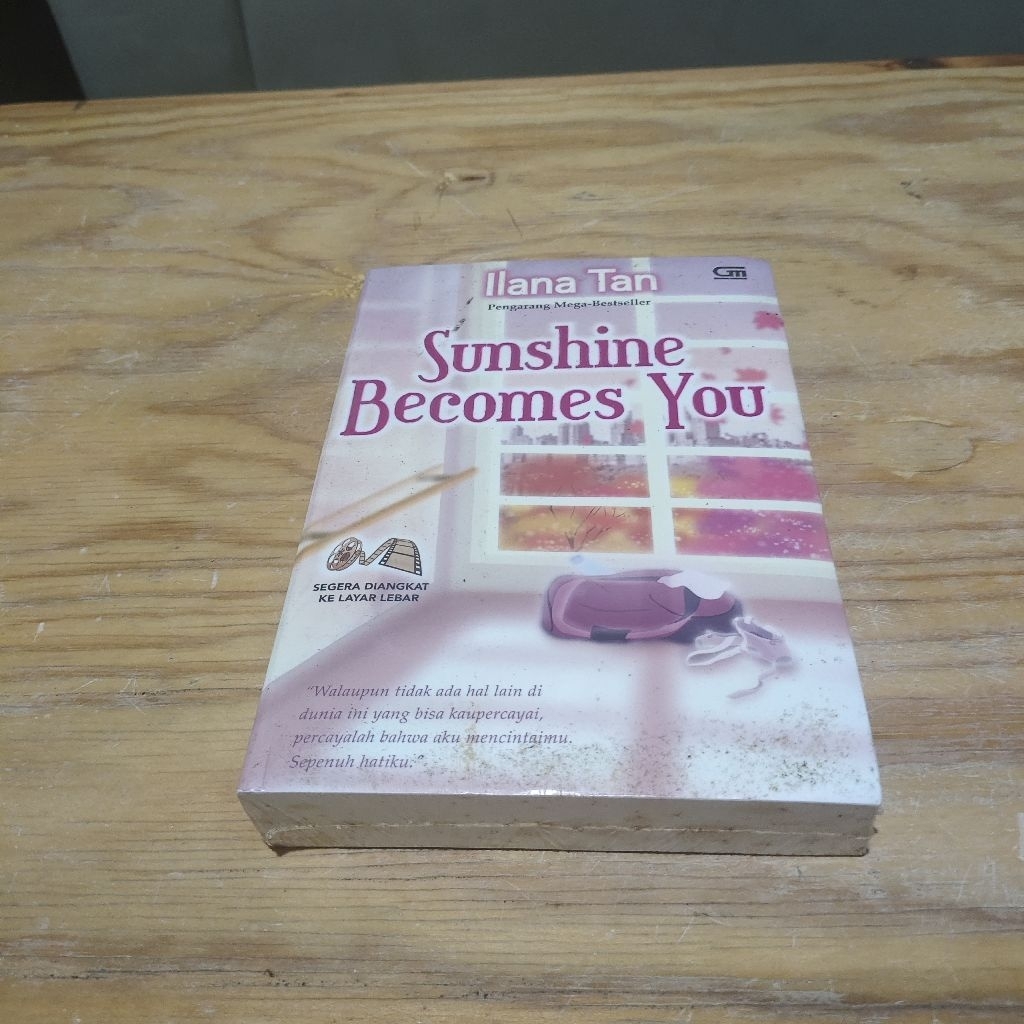 Novel Sunshine Becomes You