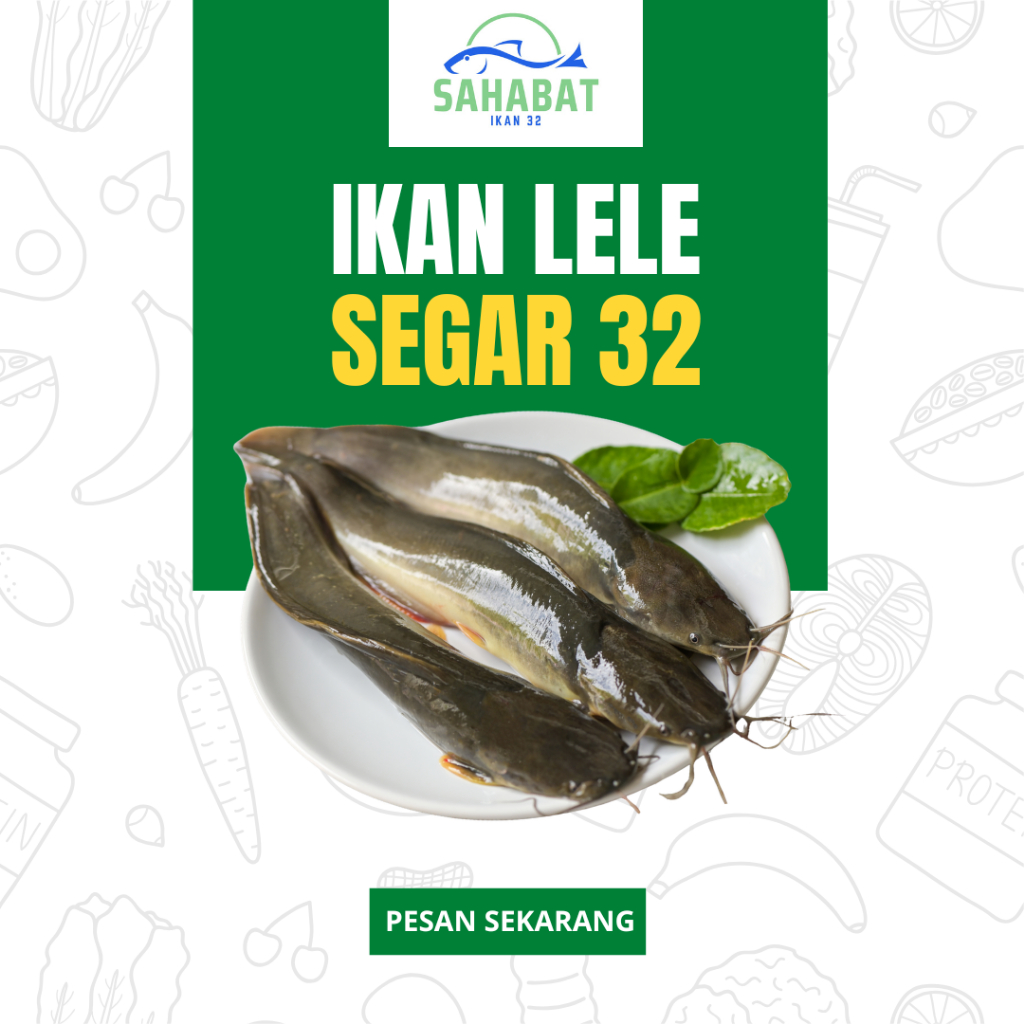 IKAN LELE SEGAR 32 FROZEEN FOOD BANDUNG