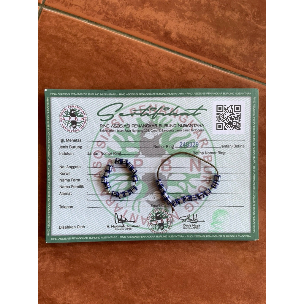 Ring APBN Terbaru Untuk Murai Batu dan Kacer Plus Sertifikat Asli Yayasan|| Ring Apbn Khusus Untuk P