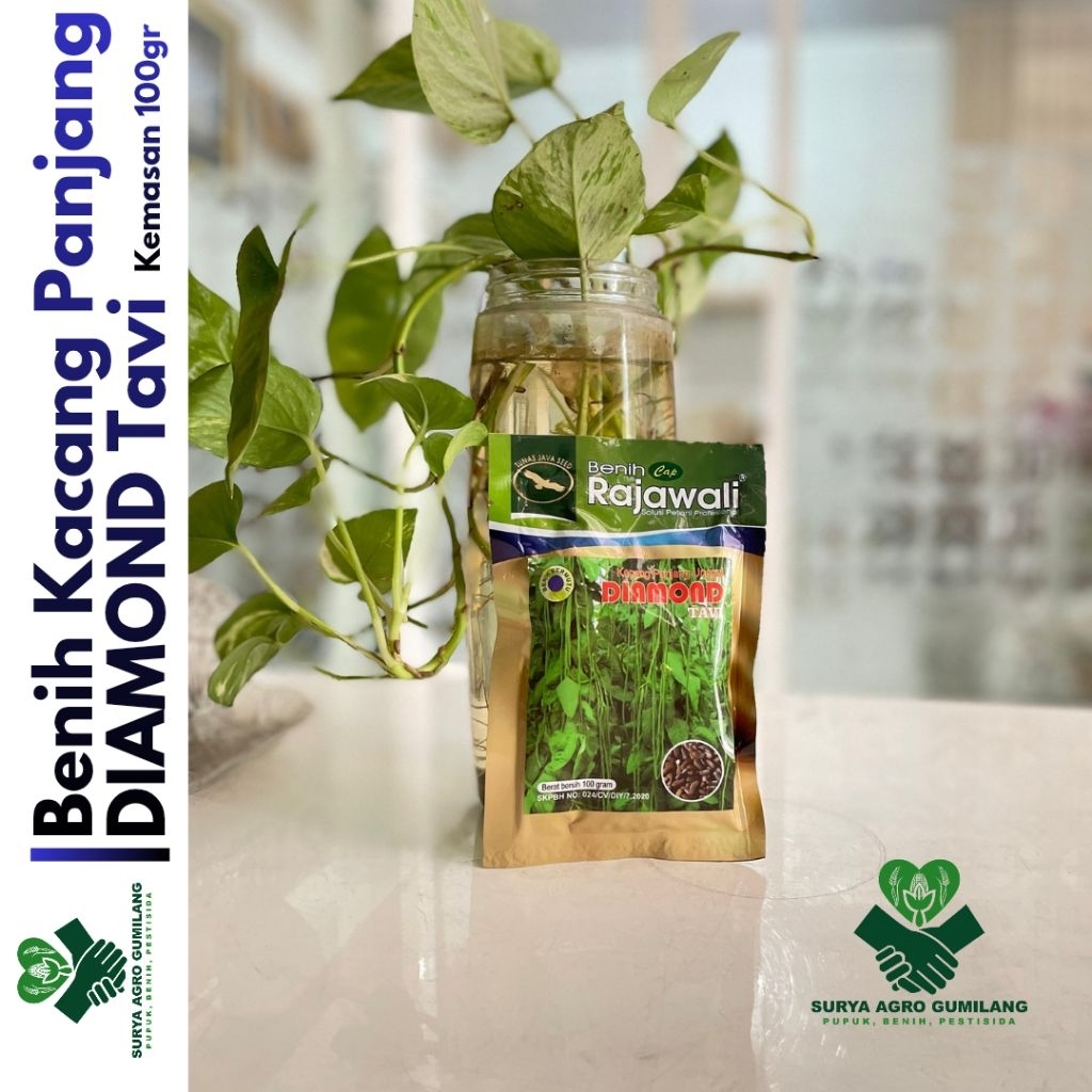 Benih Kacang Panjang DIAMOND TAVI 100 & 500 gr | Benih Kacang Panjang cap Rajawali | Bibit Kacang Pa