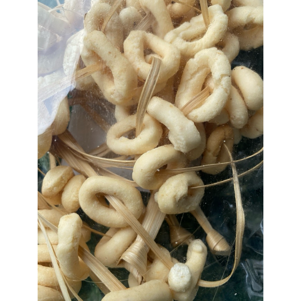 lanting ombyok lanting tali lanting tutus purworejo