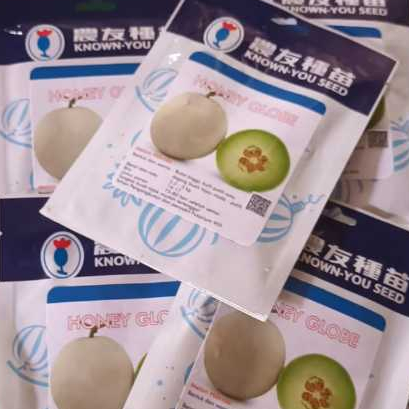 Benih Melon Honey Globe Seed Pack 100 Biji