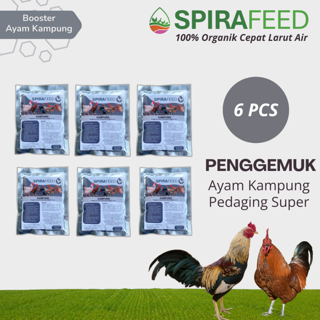 Spirafeed Ayam Kampung – Vitamin Penggemuk Untuk Ayam Kampung Joper & Pejantan | pakan ayam bangkok 