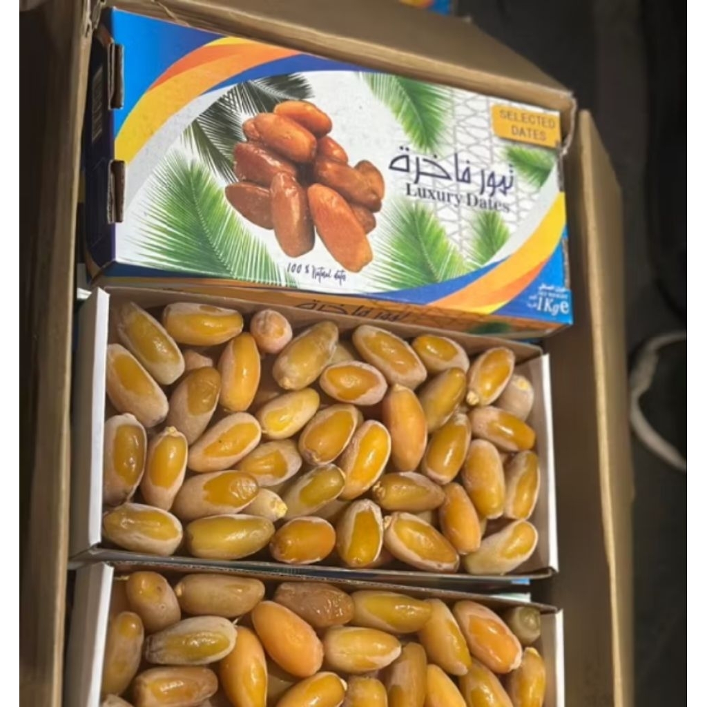 Kurma Muda Ruthob Libya