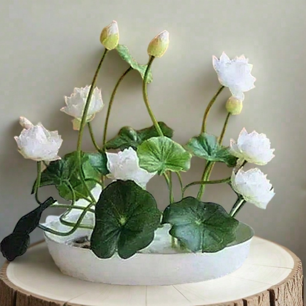 20 BENIH BIJI LOTUS TERATAI BIJI TERATAI MUDAH TUMBUH