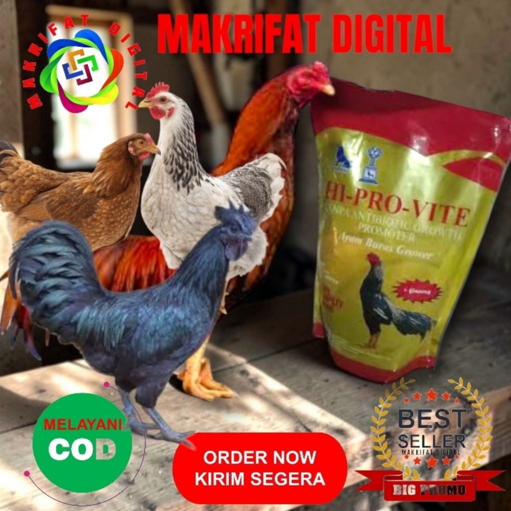 MAKRIFAT DIGITAL Paket 10 Kg Sentrat Poer Pur Voer A595K Pakan AYAM PREMIUM Khusus Ayam Bangkok Birm