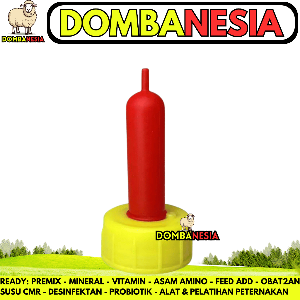 DOT KAMBING MERAH OREN 6.2 - DOT ANAK KAMBING - DOT CEMPE KAMBING DOMBA