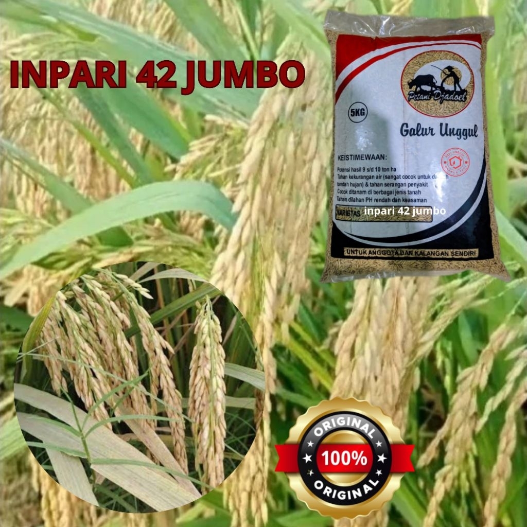 Benih Padi INPARI 42 JUMBO 5kg