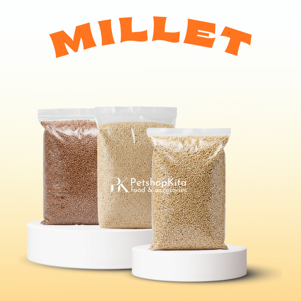 PAKAN BURUNG MILLET 1Kg