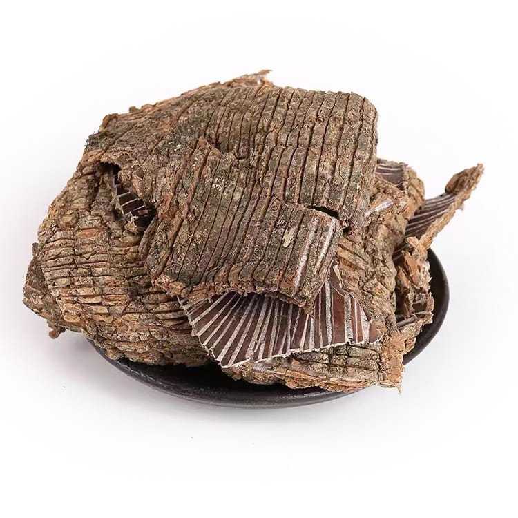 600 GRAM DUZHONG / DU ZHONG / kulit pohon Eucommia ulmoides / kulit kayu eucommia / Eucommia Bark