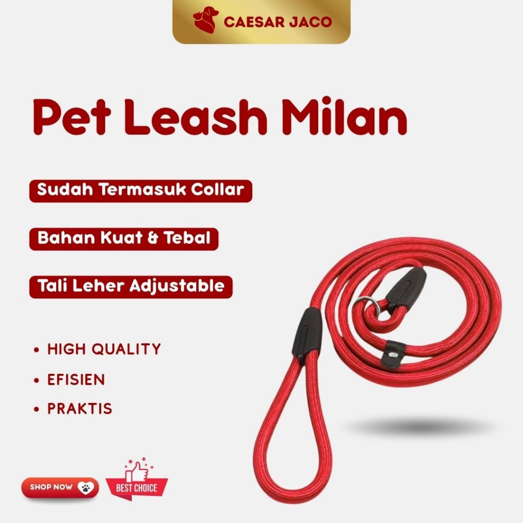 Tali Tuntun Kalung Anjing Hewan / Pet Dog Leash collar Cesar Milan