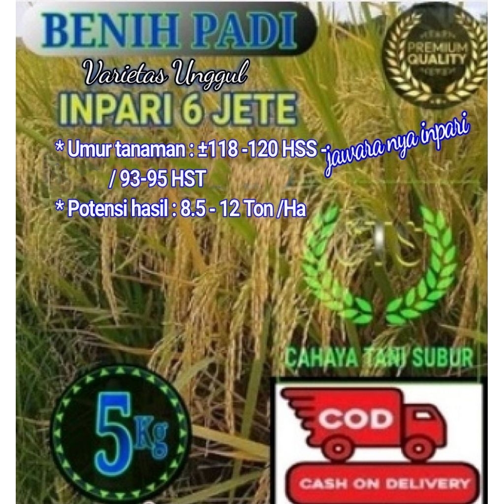 Inpari 6 Jete Benih Padi Varietas Super Unggul (5kg)