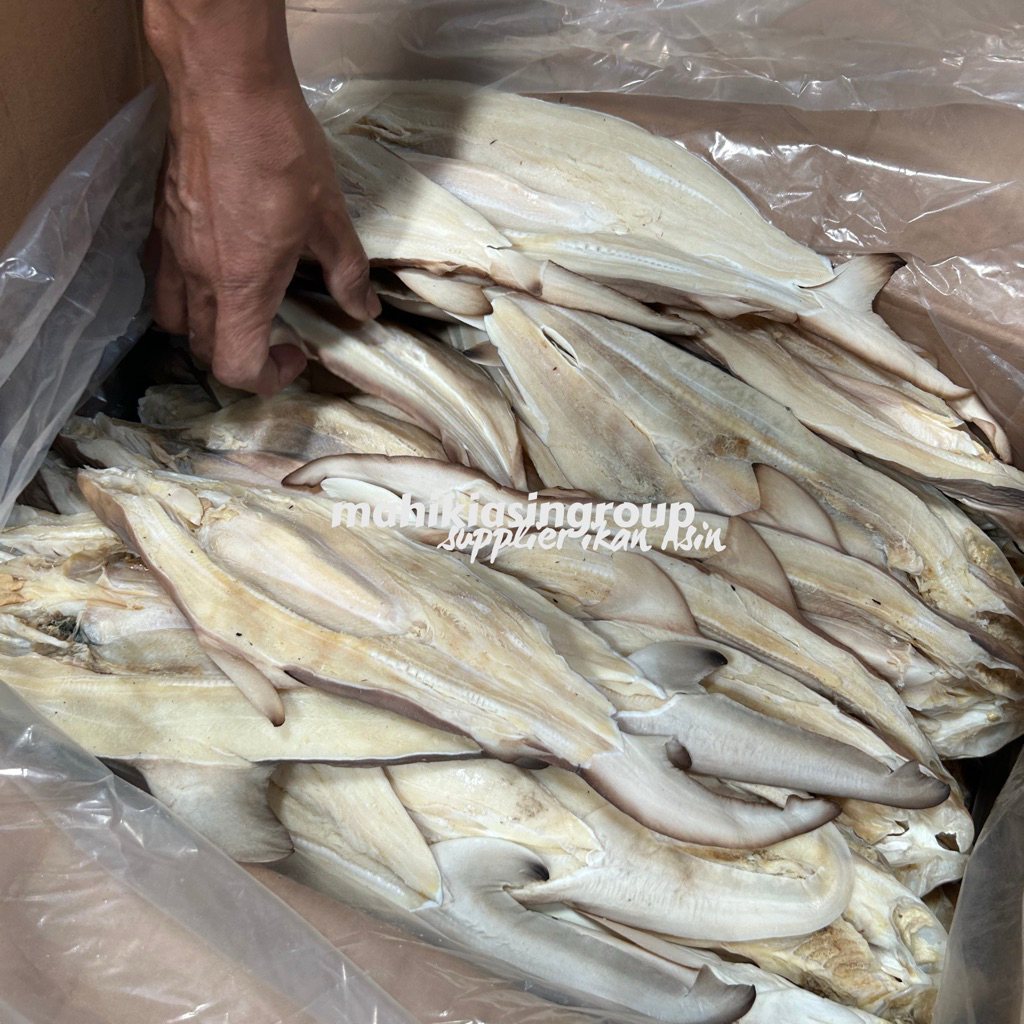 Ikan Asin Cucut Hiu 1000gr