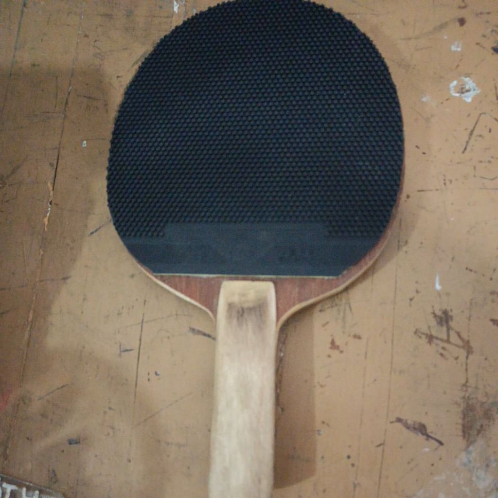 kayu dan karet bintik serang hitam friendship 563 dan yinhe 955