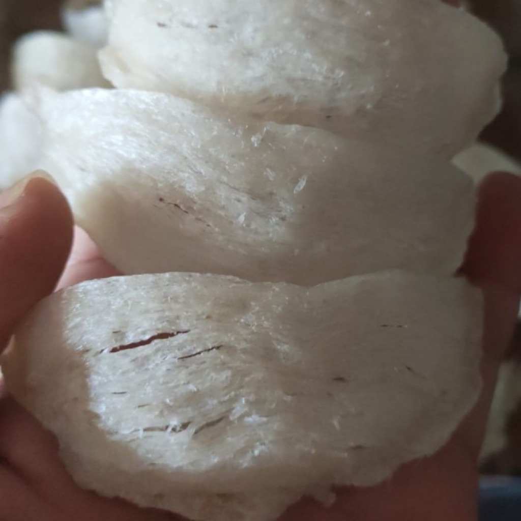 10gram Sarang Burung Walet Bersih Mangkok/100% Asli Walet Kalimantan