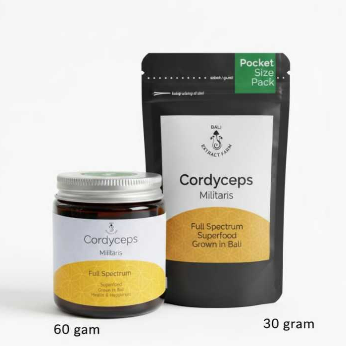 Cordyceps Militaris 30gr - Bali Extract Farm