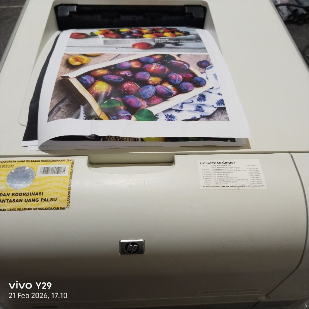 Printer Hp Color Laserjet CP1215