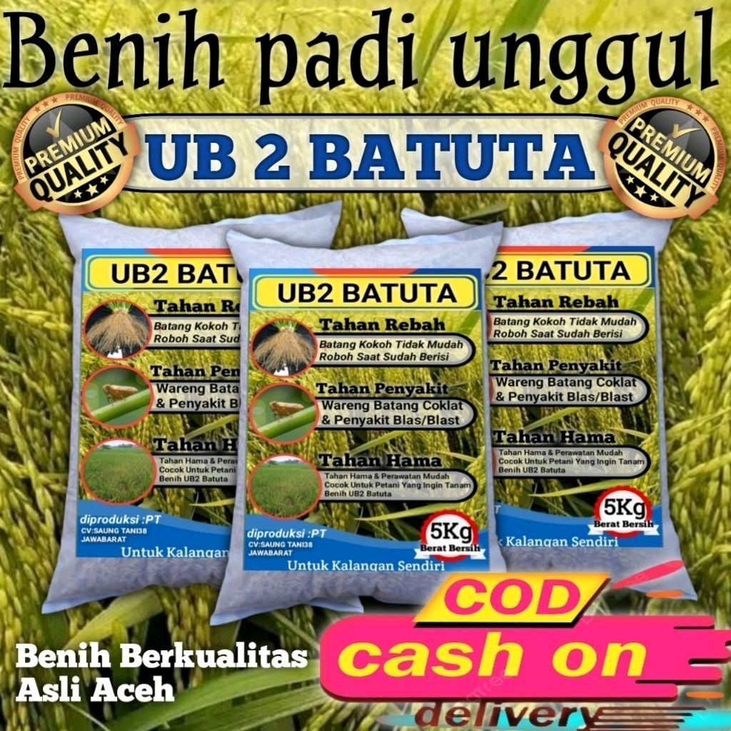 Benih Padi UB2 BATUTA ORI Kemasan 5kg Original Asli aceh
