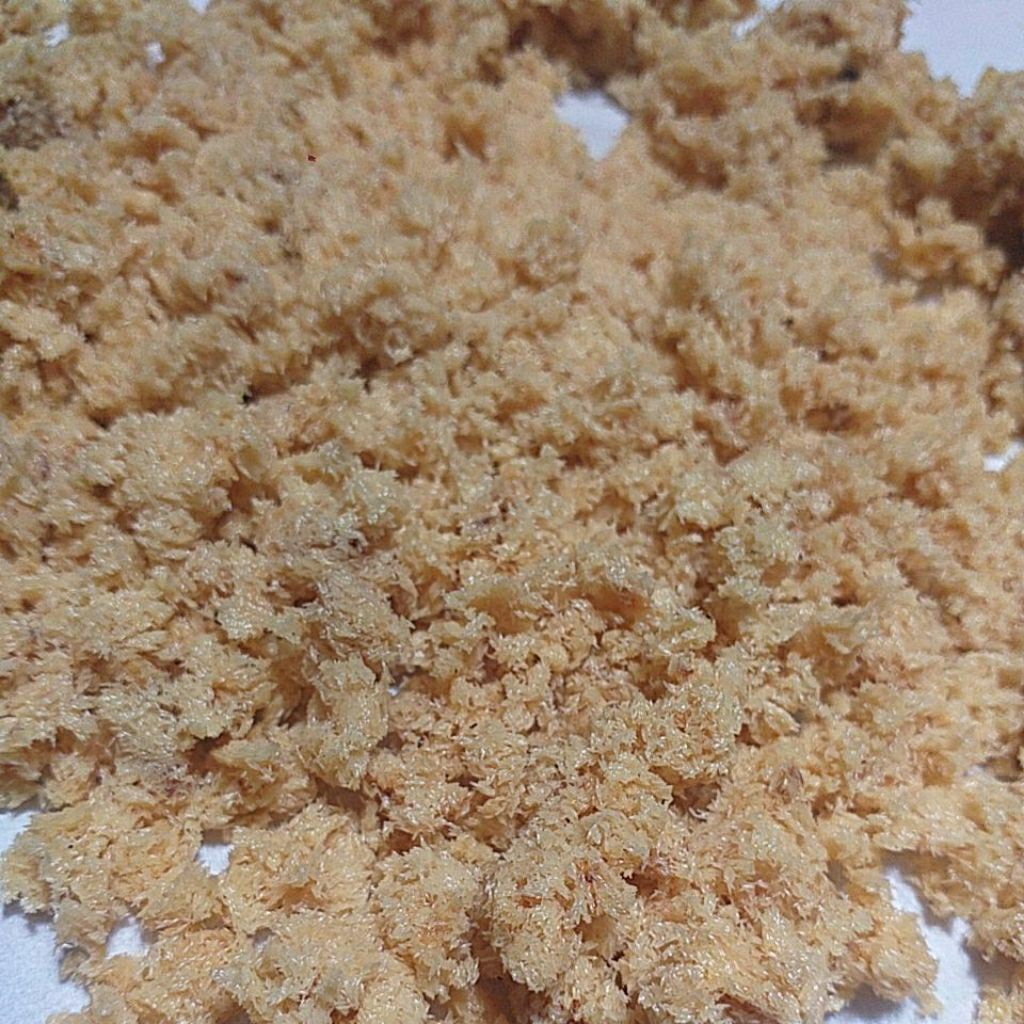 telur maggot bsf