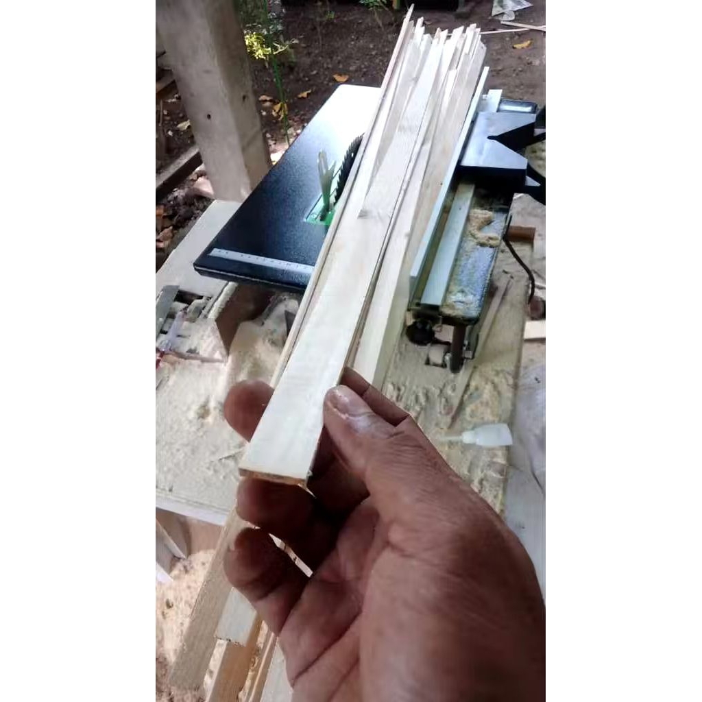 stik jati belanda  dari kayu jati belanda